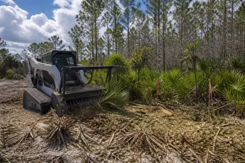 Mulcher selectively removing saw palmetto beneath slash pines on a Coral Springs acreage pocket while flagged preserve-edge palmetto remains undisturbed