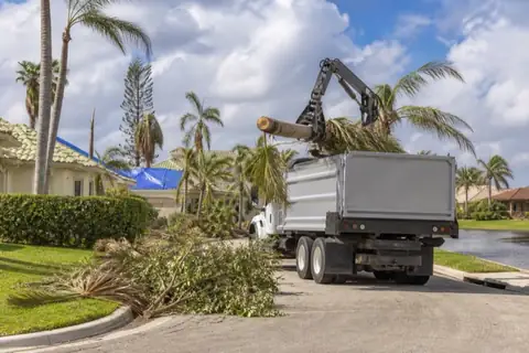 Neatly sorted palm fronds and a broken royal palm being lifted by an unbranded grapple truck on a Coral Springs cul-de-sac after a storm